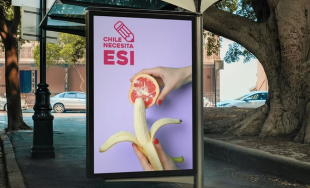 Chile Necesita ESI print design by Estudio EDE.