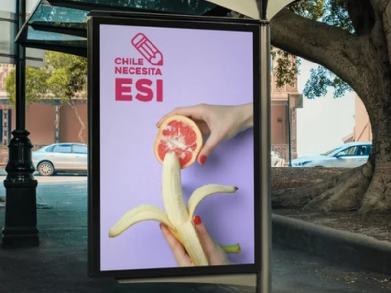 Chile Necesita ESI print design by Estudio EDE.