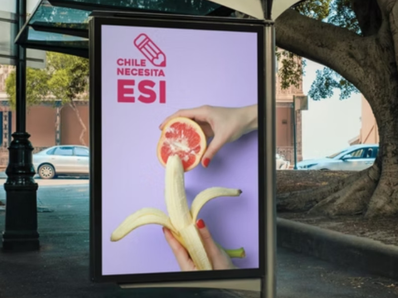 Chile Necesita ESI print design by Estudio EDE.