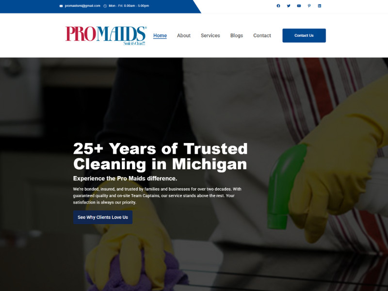 Pro Maids website design by AppWT LLC.