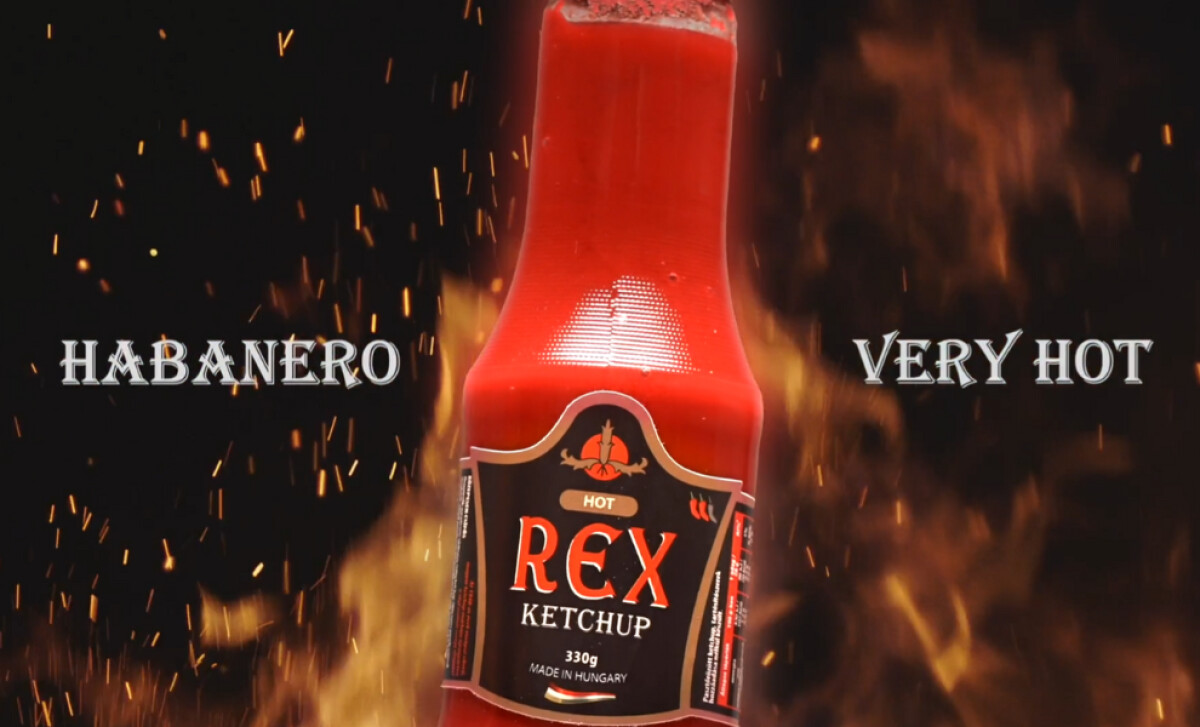 REX Ketchup (slide 2)