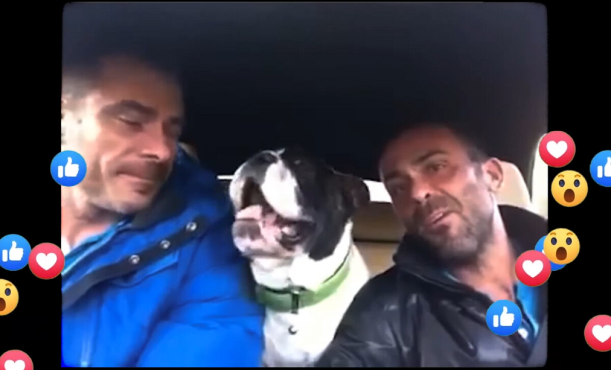 A dog and its owners in the Mars PetCare video by Launch Factory