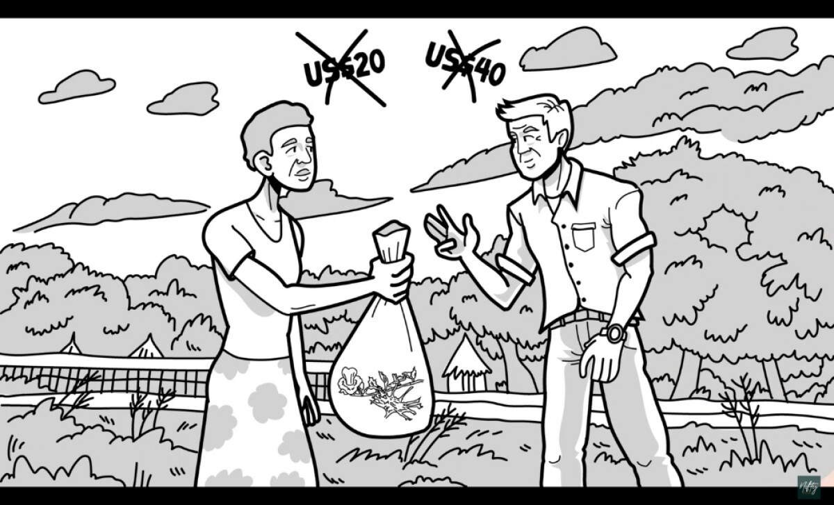 The Devils Claw Harvesters of Namibia (slide 2)