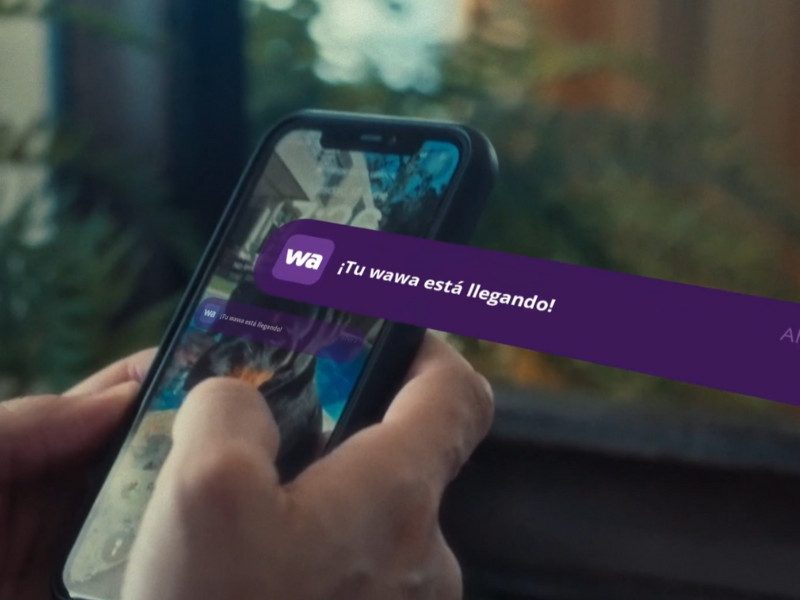 La Wawa & FVF push notification by Paradiso.