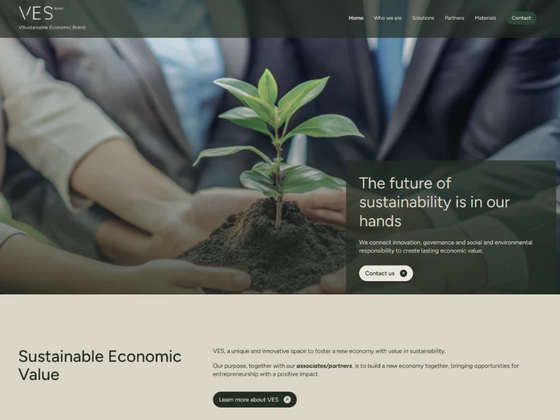VES Brasil website design by Schiefler Studio.
