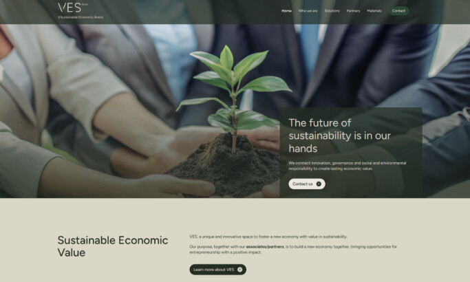 VES Brasil website design by Schiefler Studio.