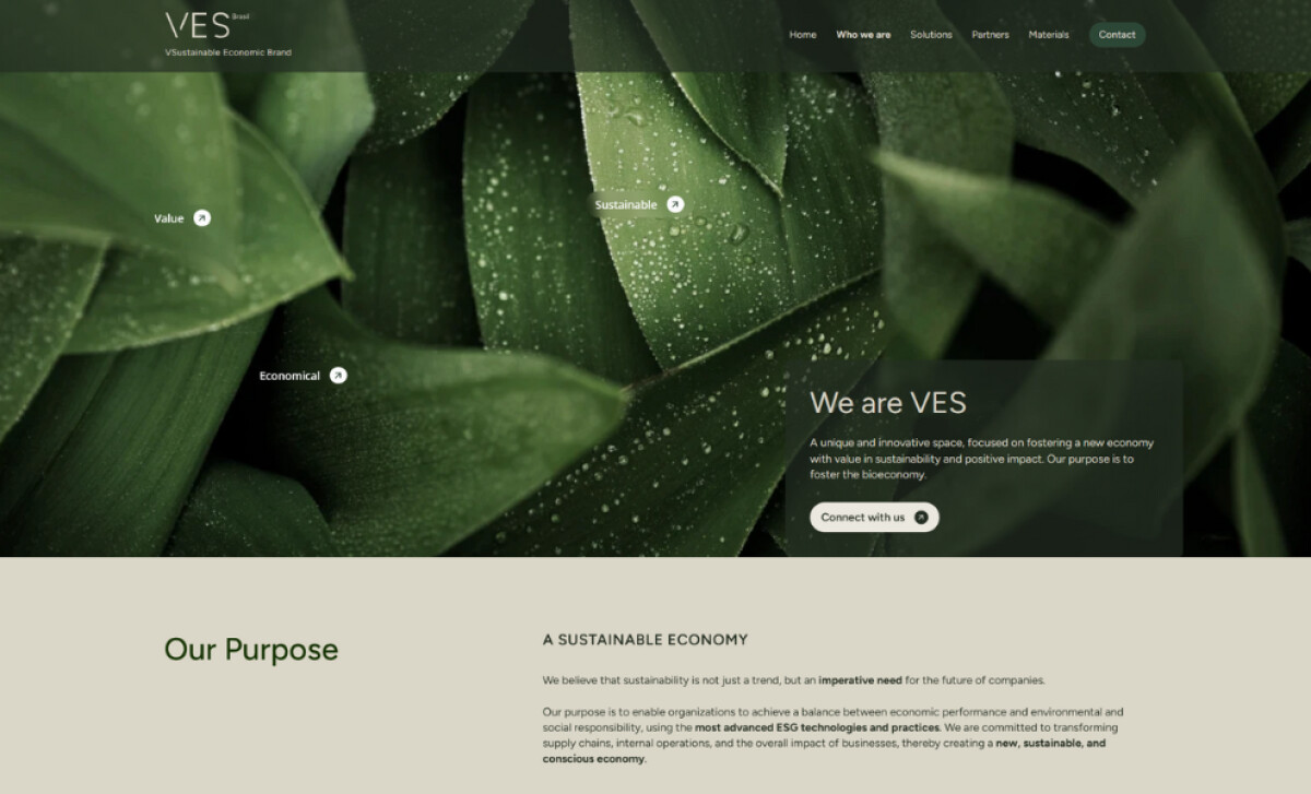 VES Brasil about page by Schiefler Studio.
