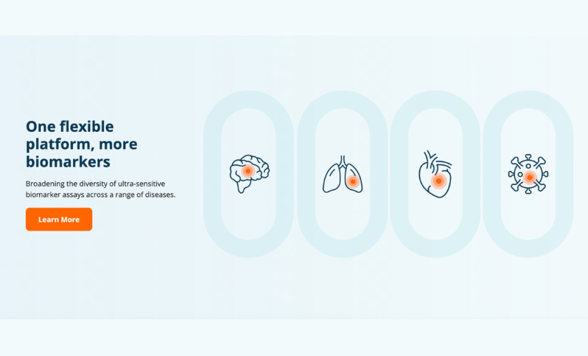 Spear Bio Website's CMS Structure
