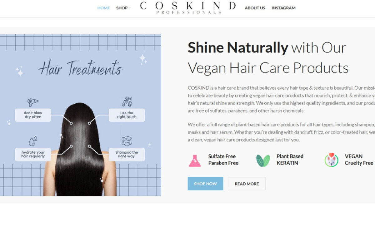 Coskind website information page by Techno Derivation.