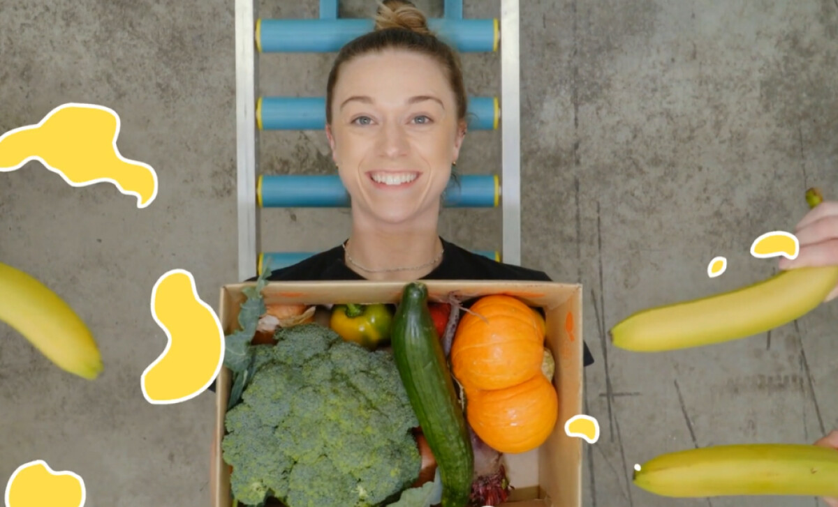 How Not For You Films Designed the Misfit Garden 2024 Video (slide 2)