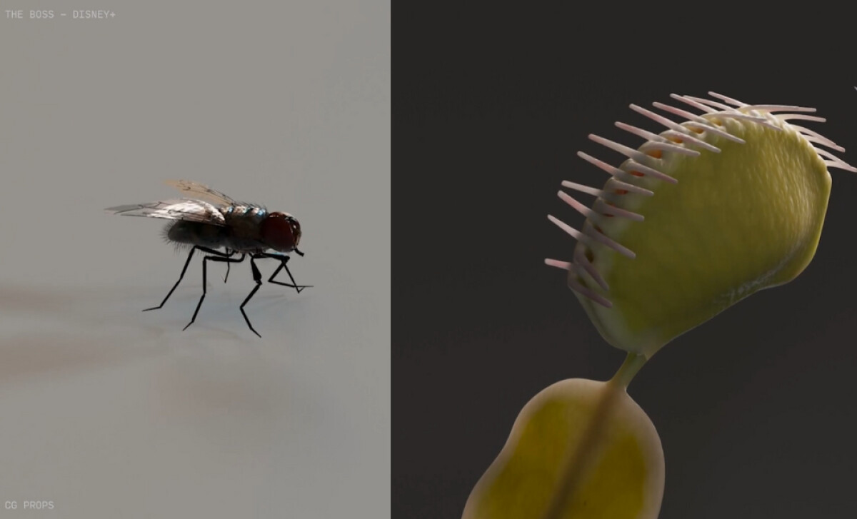 BOAT.media’s 2024 VFX Reel Brings Global Creativity to the Screen (slide 2)