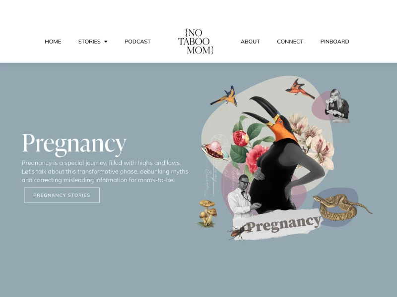 No Taboo Moms website homepage design.