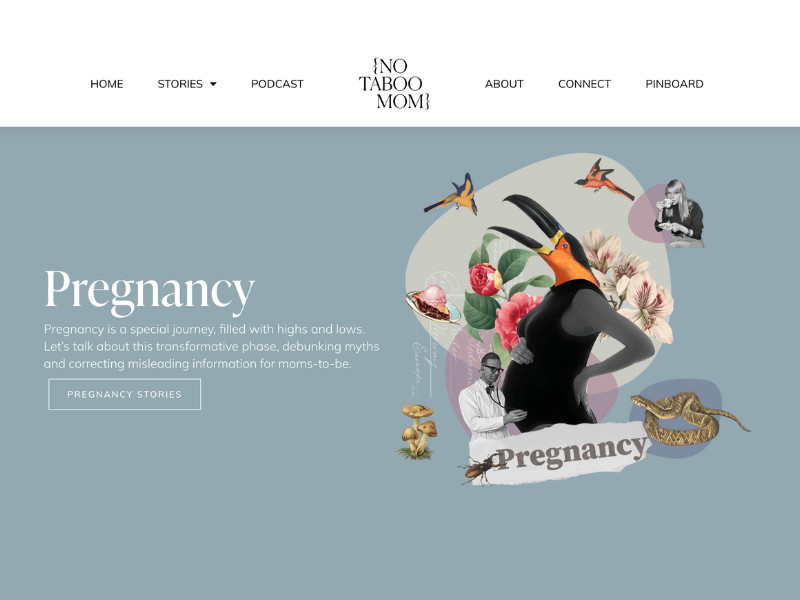 No Taboo Moms website homepage design.