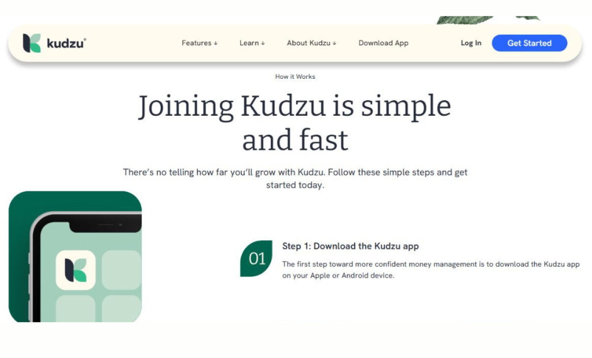 Kudzu Money User-Friendly Website
