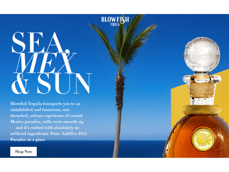 Blowfish Tequila website design by Web Casa Design.