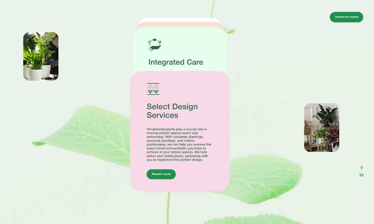 Blooming Beds Layered Cards