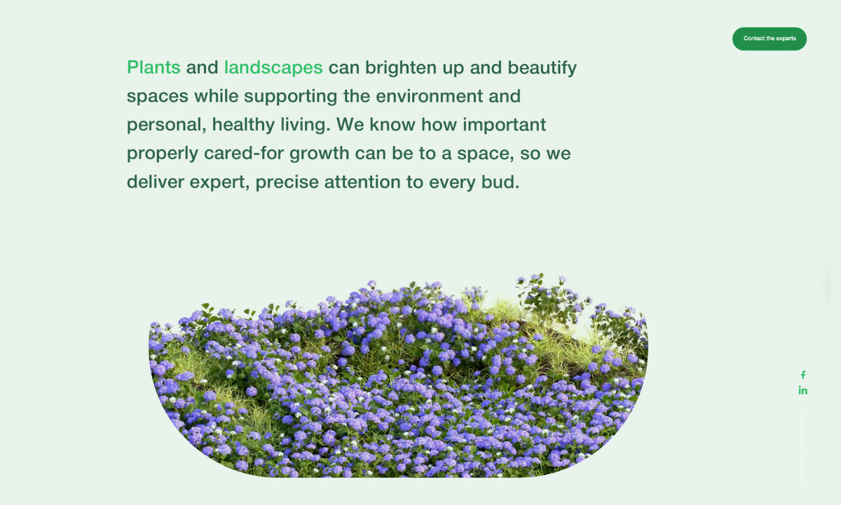 Blooming Beds Website Microanimation