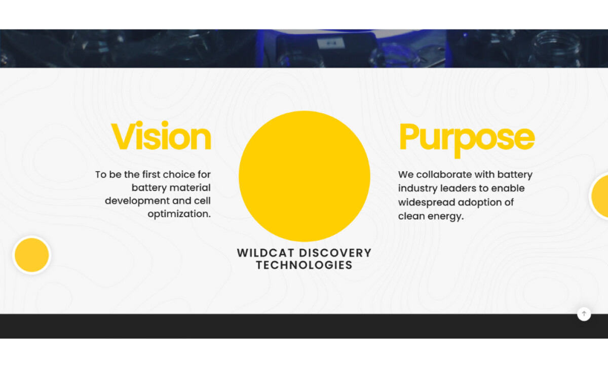 Wildcat Discovery Technologies homepage design by Storm Brain