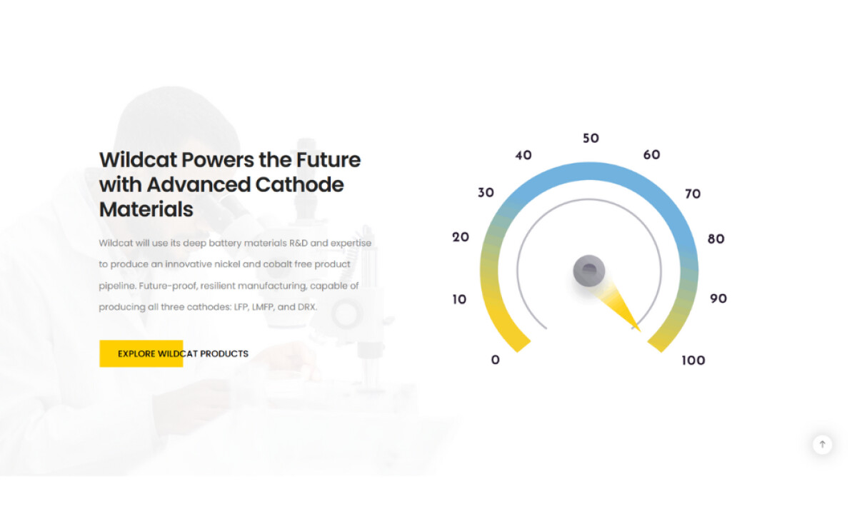 Wildcat Discovery Technologies Product Page