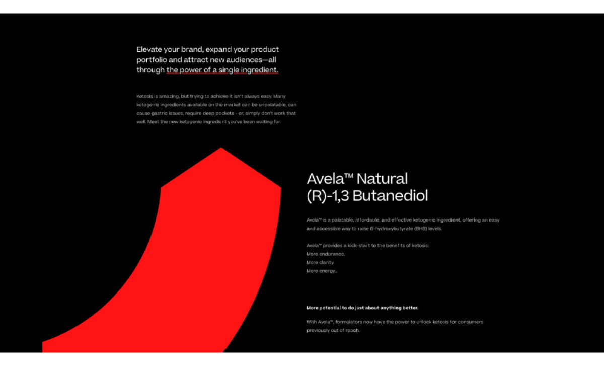 Avela homepage design by Storm Brain