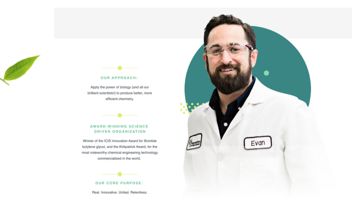 Brontide Website About Section