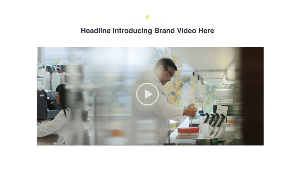 Brontide Website Brand Video
