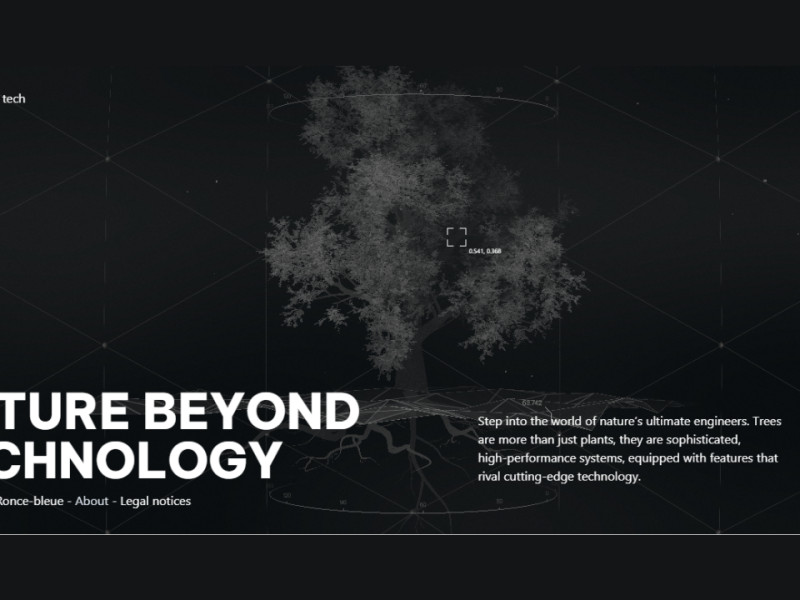 Nature Beyond Technology website design by Ronce Bleue.