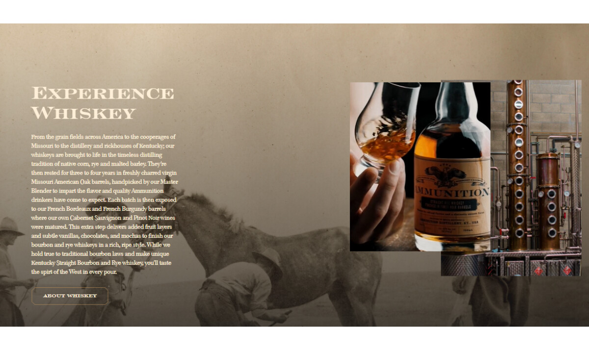 Ammunition website design by Storm Brain.