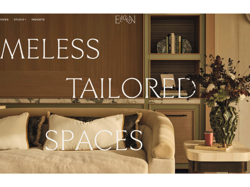 Elicyon website design by HNDRX Ltd