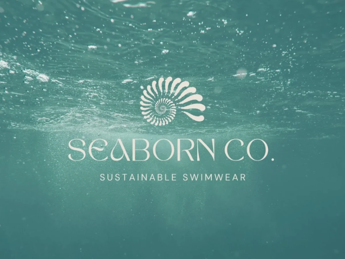 Seaborn Co logo design by Aviso Studios.