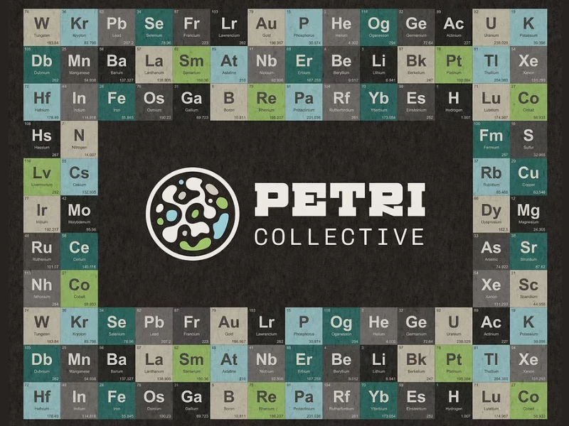 Petri Collective logo design by Chirpy Bird Studio.