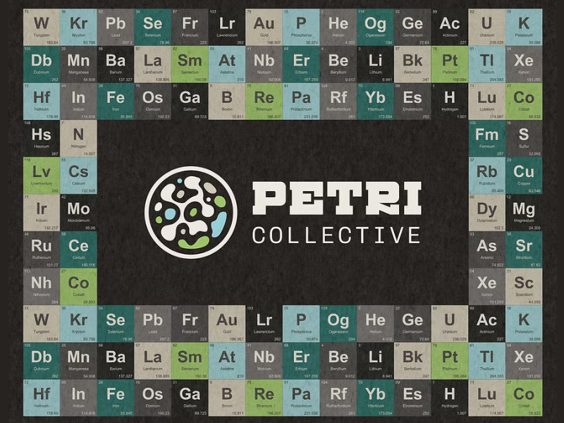 Petri Collective logo design by Chirpy Bird Studio.