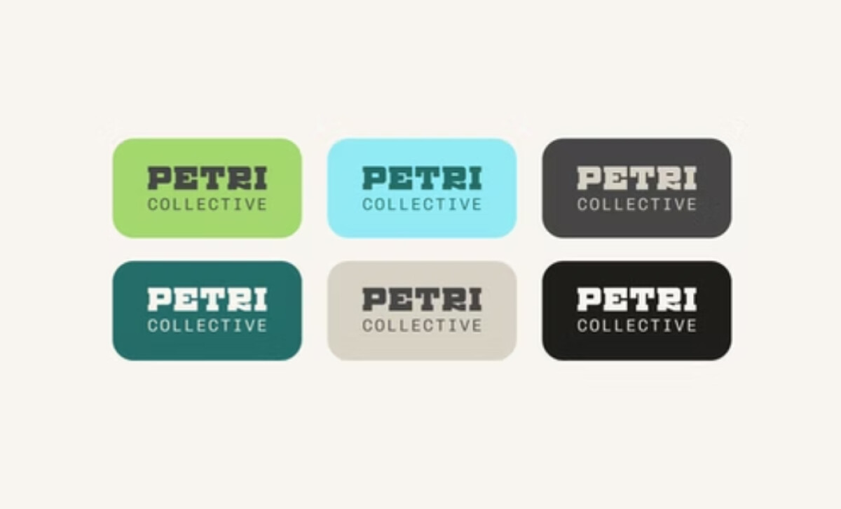 Petri Collective logo design by Chirpy Bird Studio.