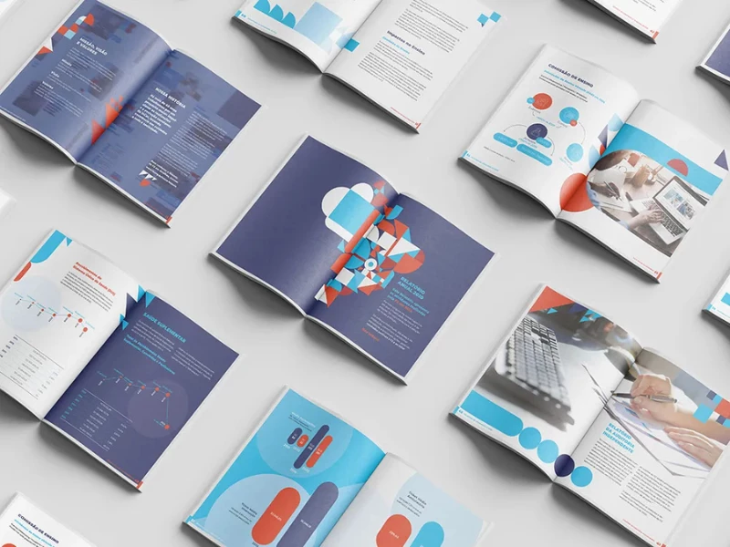 Annual Report 2020 FZ Print Design by Felippe Piccolo
