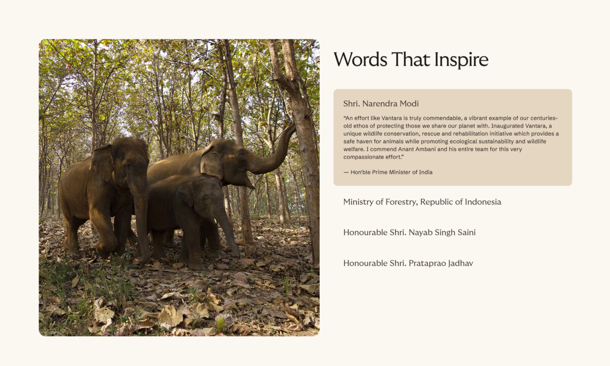 Vantara website design by Clay.