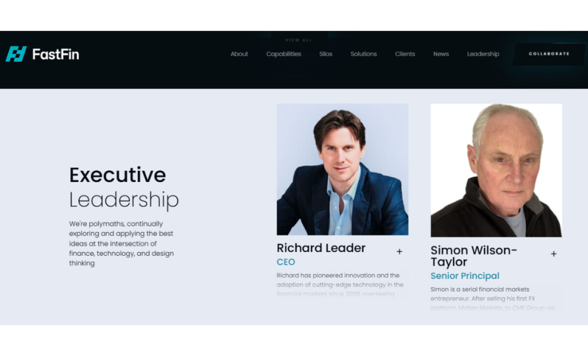 FastFin website design by Vilni Group.