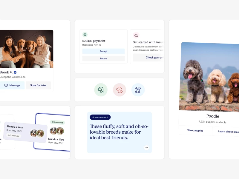Good Dog App Design by Tomasz Zelmański