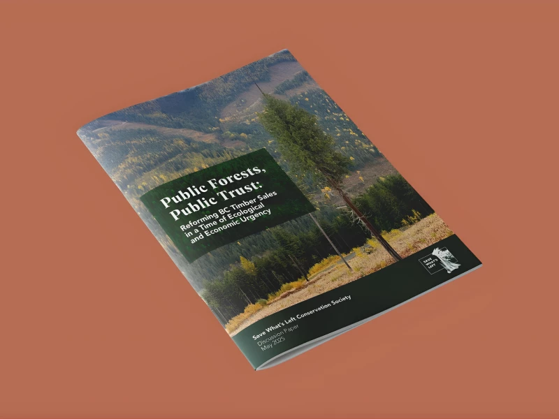Public Forests, Public Trust Brochure Print Design by Martum Design