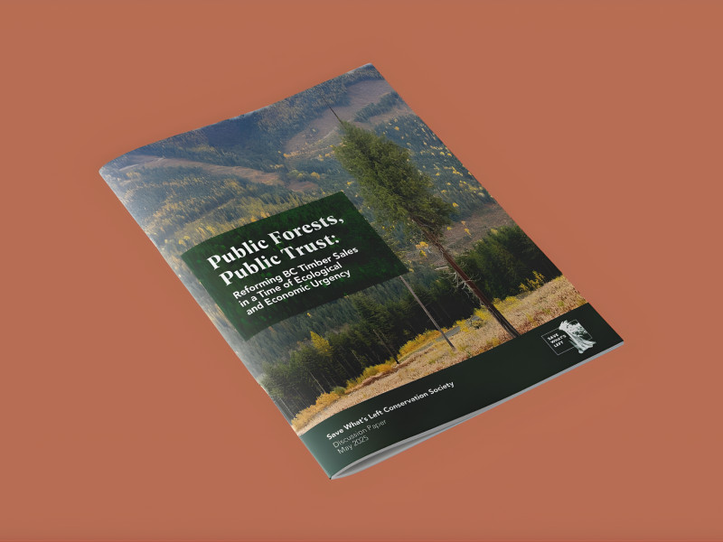 Public Forests, Public Trust Brochure Print Design by Martum Design