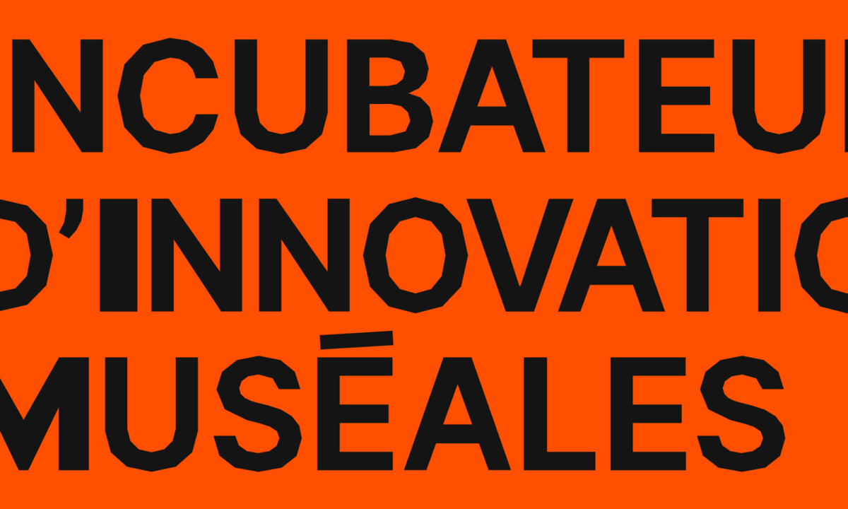 Bold typography anchors experimental system