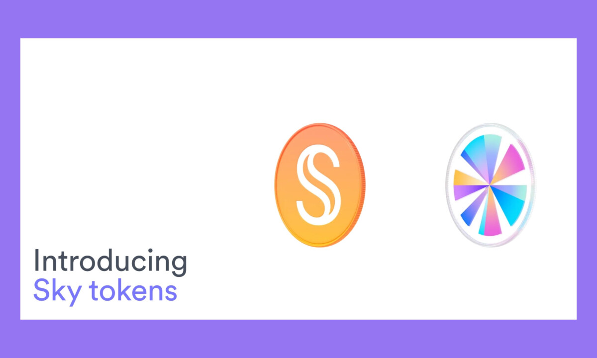 Sky Tokens introduction hero with dual coin visuals