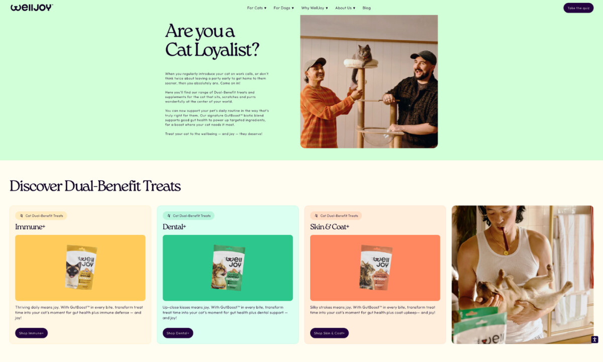 WellJoy website design by Codal.