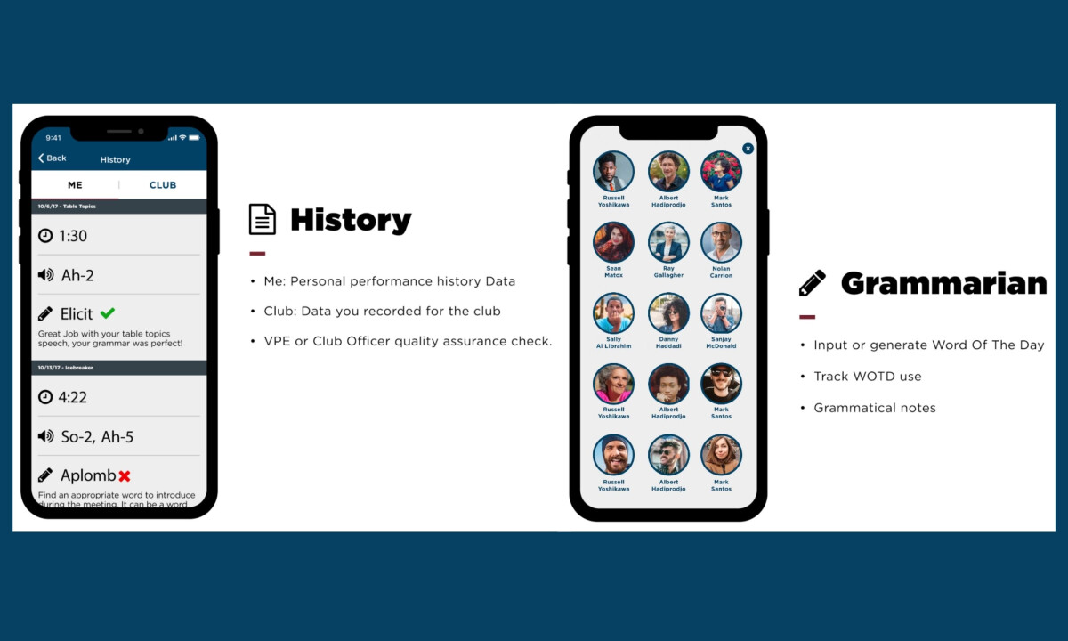 Performance history and Grammarian dashboard