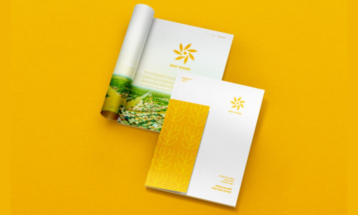 Multicolor pinwheel logo represents unified regional sectors