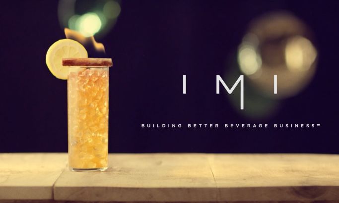 The DVI Group | Atlanta Video Production | IMI Promotional Video