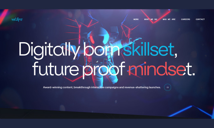 Wildlife Website Design