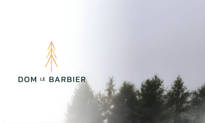 Dom Le Barbier Logo Design by Pixel CG