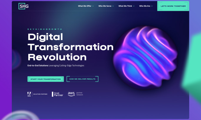 SkyHighGrowth Website Design by Jungle Creatives