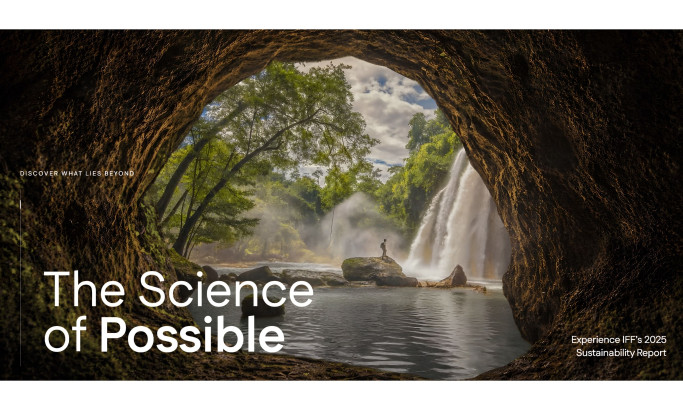 IFF 2025 Sustainability Report Website Design by Digital Silk