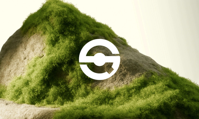 Q-Selection Logo Design by Visinex